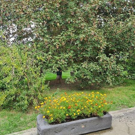 Petit Gite 18 Eme Tout Confort Saint-Germain-des-Fosses 外观 照片